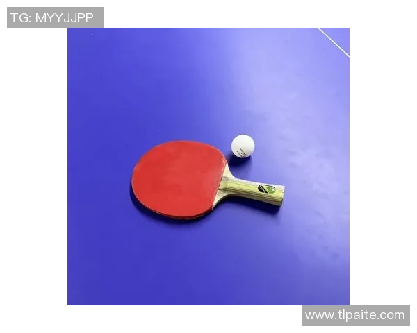 聚焦乒乓球：探索杭州乒乓球队的训练节奏与发展之路
